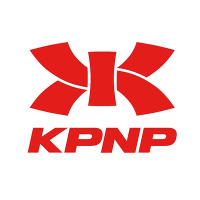 KPNP電子護具