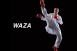 WAZA對打道服