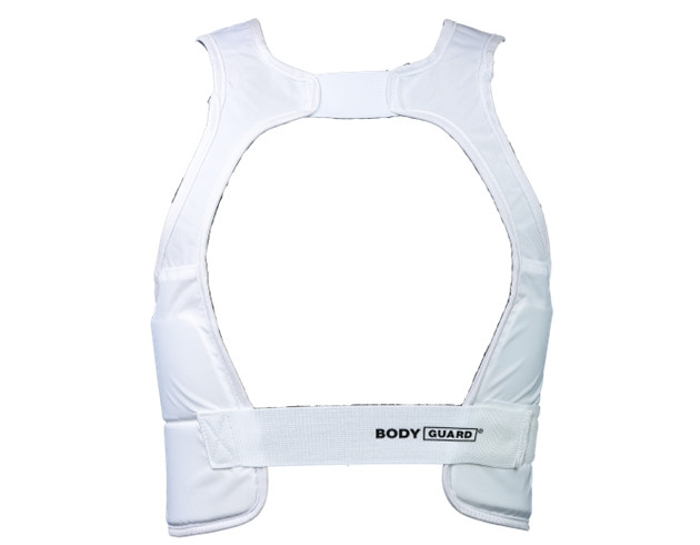 身體護具 2