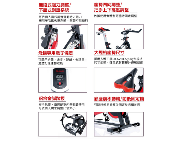 CS-3001R 飛輪健身車 3