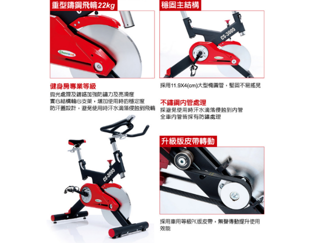 CS-3005 飛輪競速健身車 2