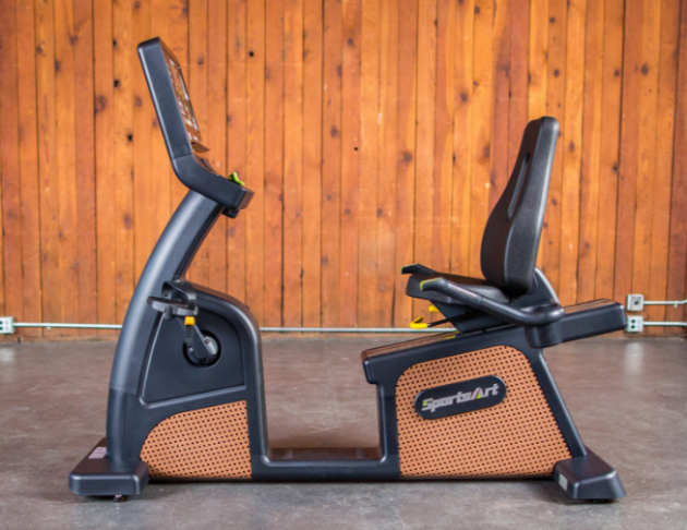 C576R 卓越系列靠背式電腦腳踏車 2