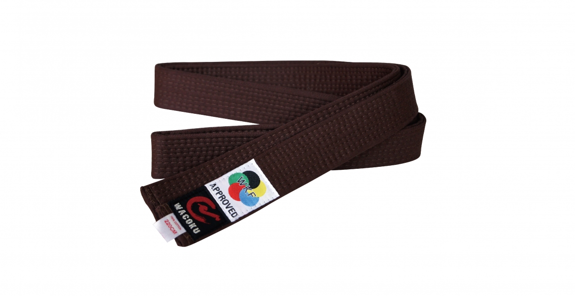 空手道棕色色帶 1